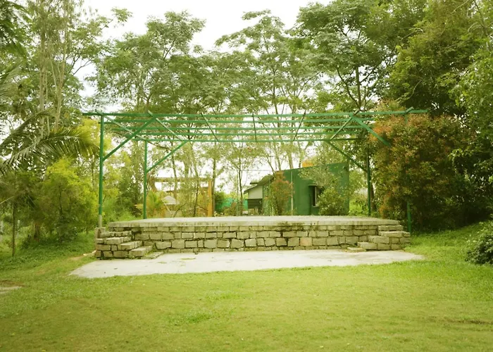 Annmees Freedom Land