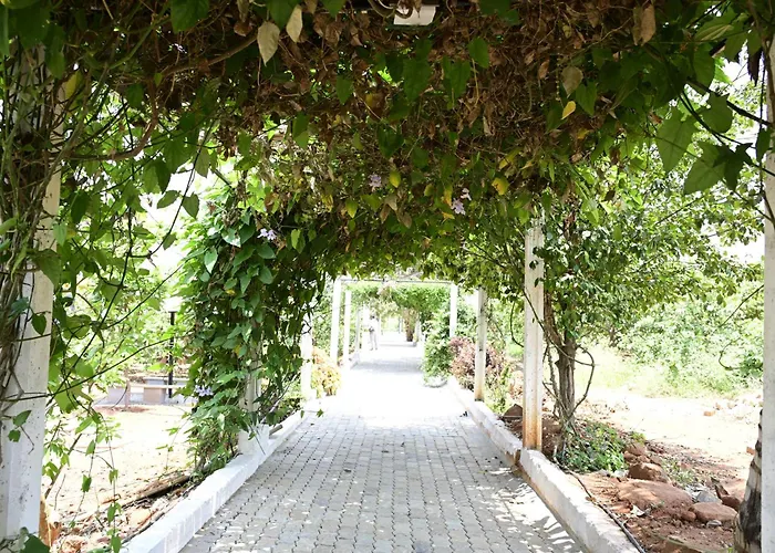 Nenapu Resorts