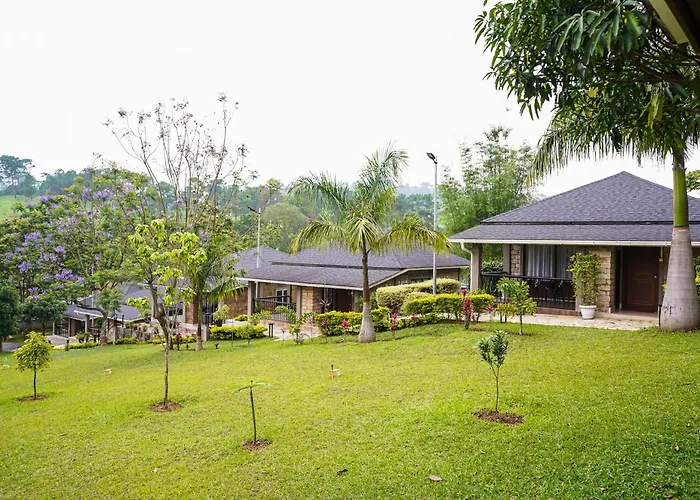 Nohsngithiang Estate