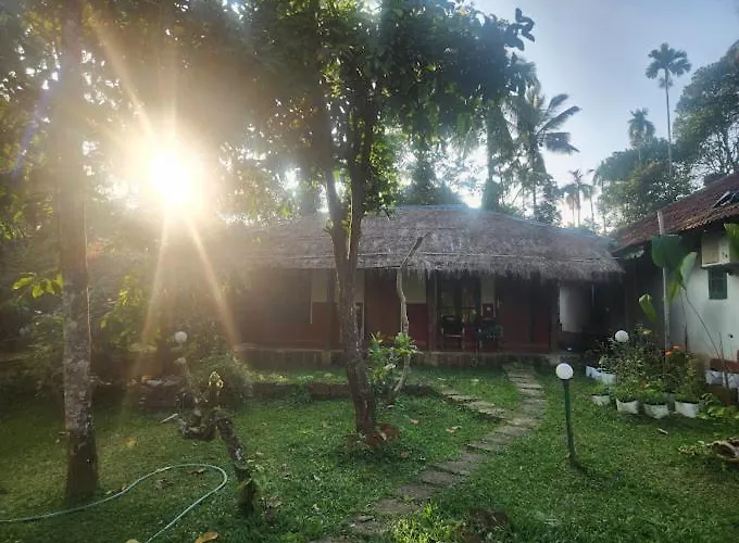 Wayanad Turmerica Premium Pool Resort