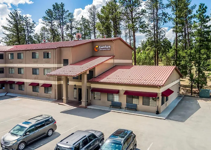 Comfort Inn & Suites Midtown