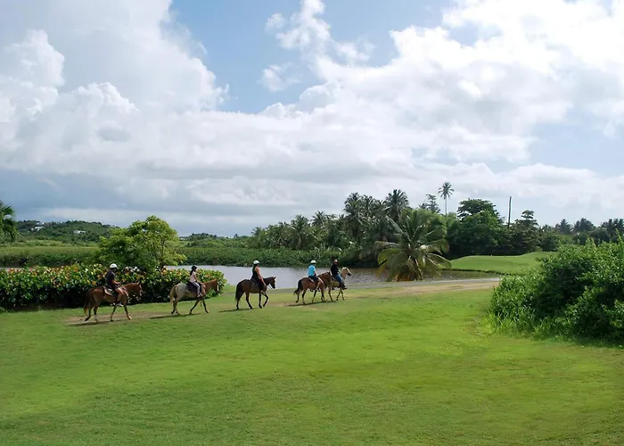 Wyndham Palmas Beach And Golf Boutique Resort