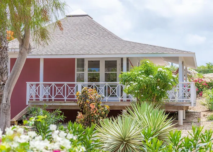 Chogogo Dive & Beach Resort Curacao