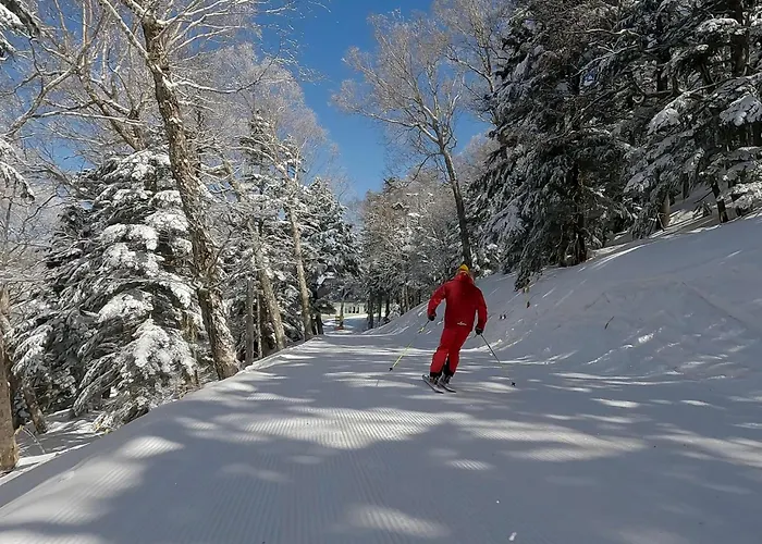 Chalet Shiga