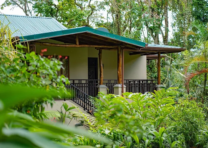 Lost Iguana Resort And Spa