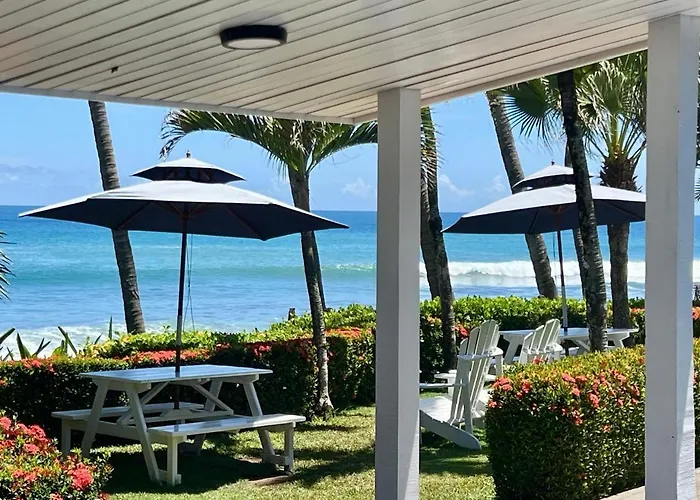 The Backyard Beachfront Hotel