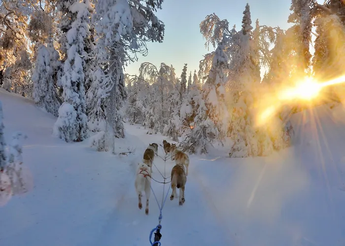 Livo Arctic Resort