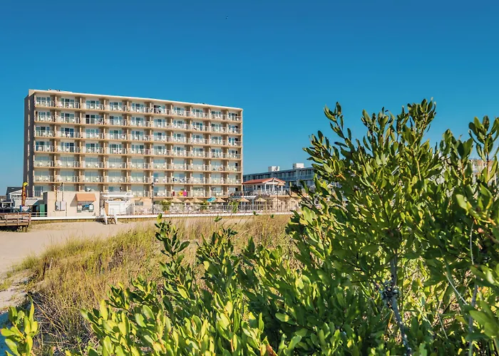 Reges Oceanfront Resort