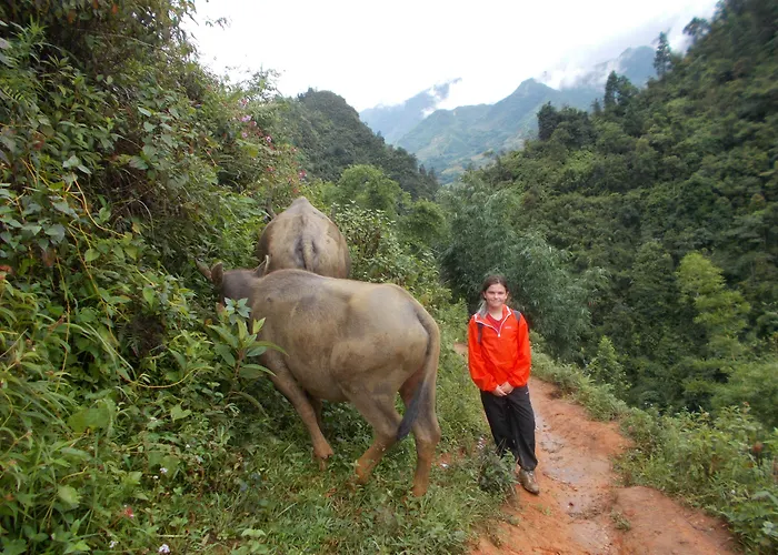 Sapa Hills Hotel