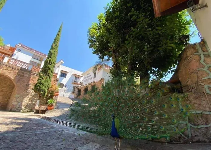 Hotel Posada San Javier