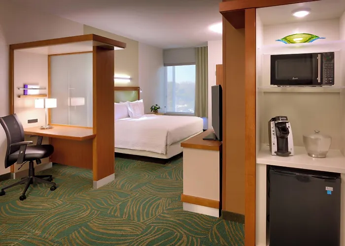Springhill Suites By Marriott Houston I-45 North