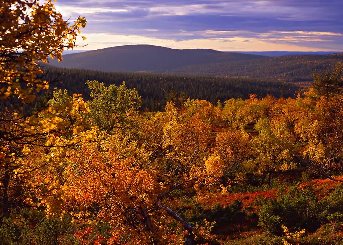 Lapland Hotels Saaga