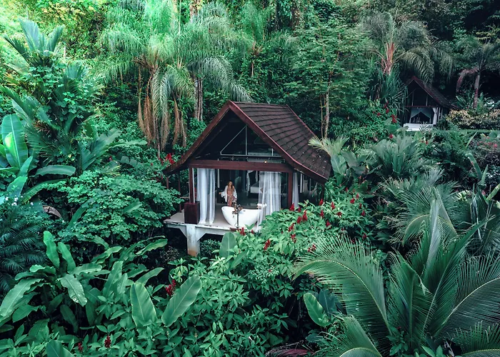 Oxygen Jungle Villas & Spa (Adults Only)