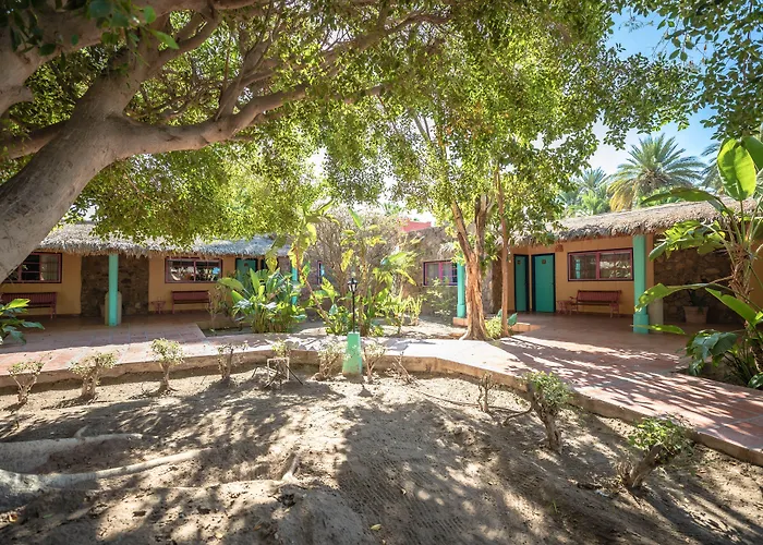Hotel Oasis