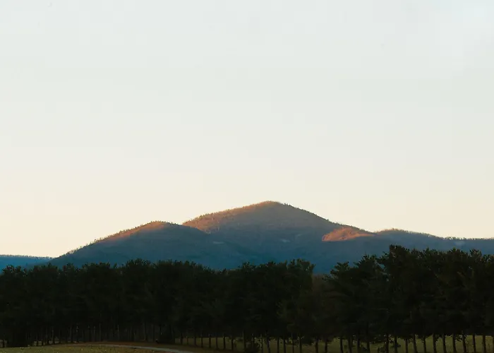 Cave Hill Farm Bed & Breakfast
