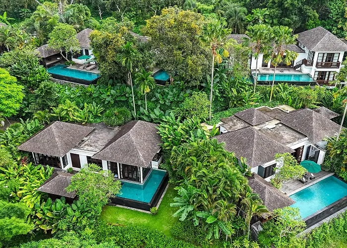 The Damai
