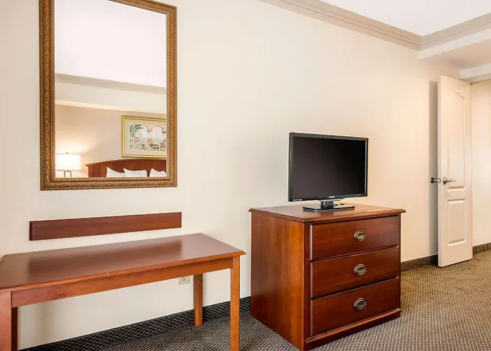 Quality Inn & Suites Tarpon Springs South