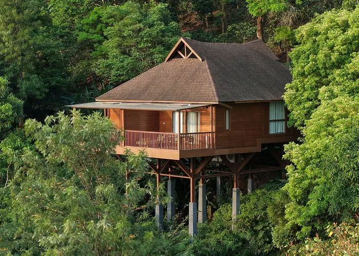 The Tamara Coorg