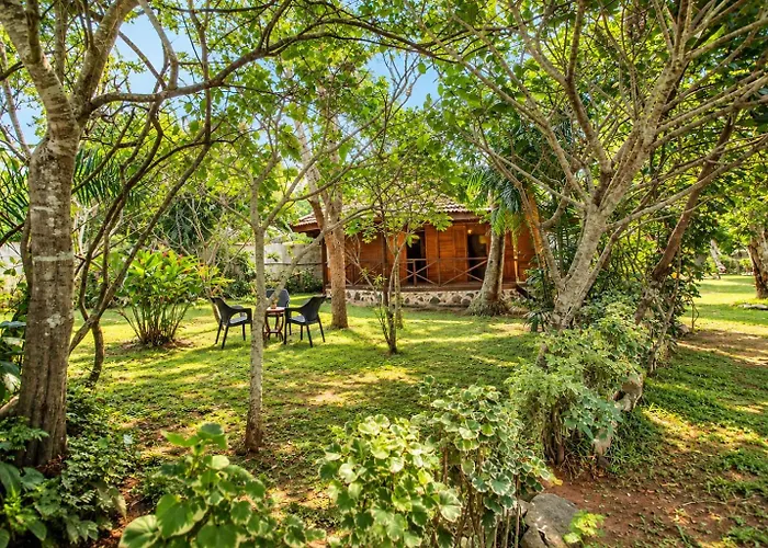 Paradise Bungalow