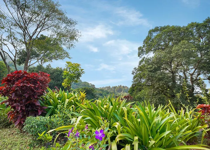 Magnolia Estates & Resorts