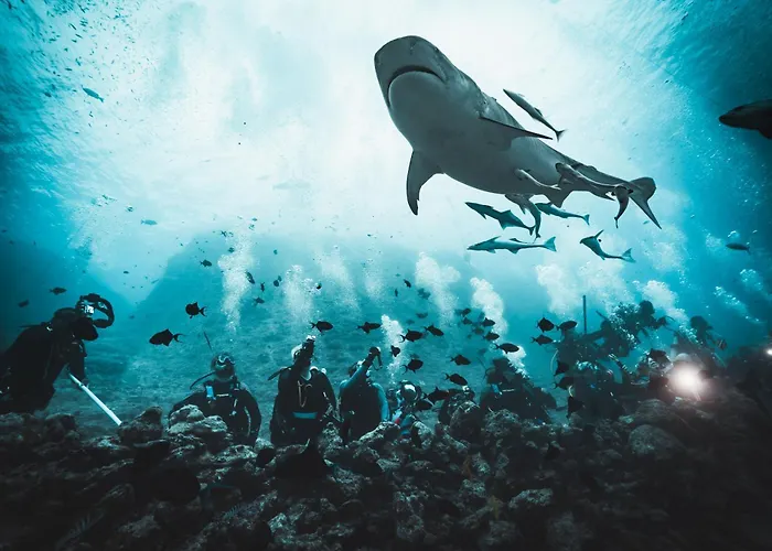 Beqa Lagoon Resort