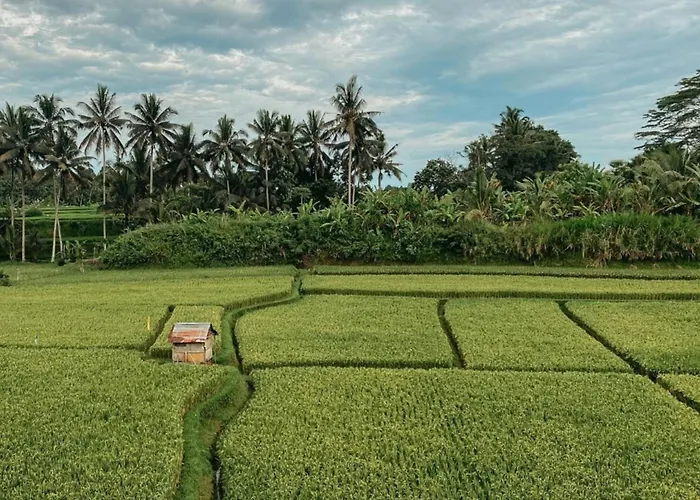 Om Ham Retreat And Resort