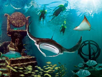 Atlantis Paradise Island