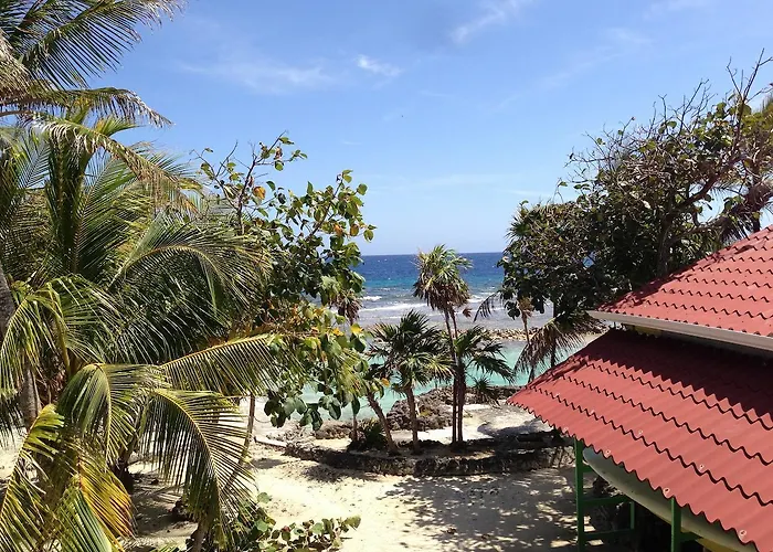 Reef House Resort