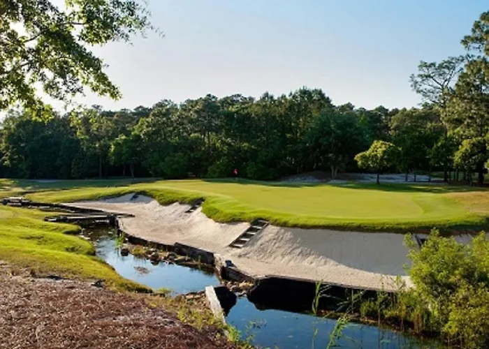 Pawley'S True Blue