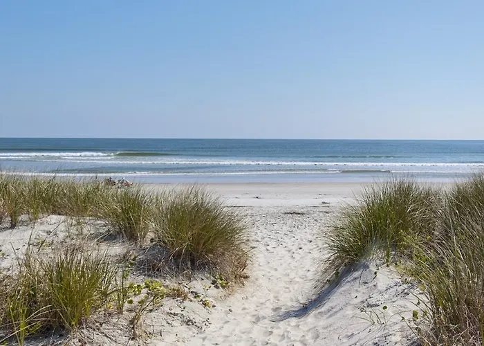 Pawley'S True Blue