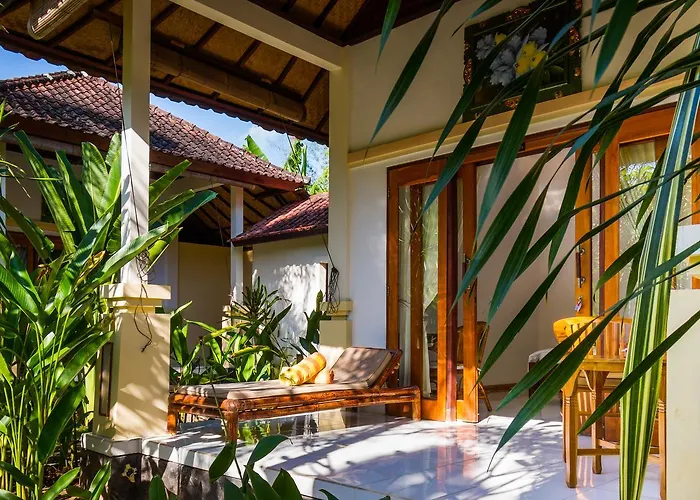Oasis