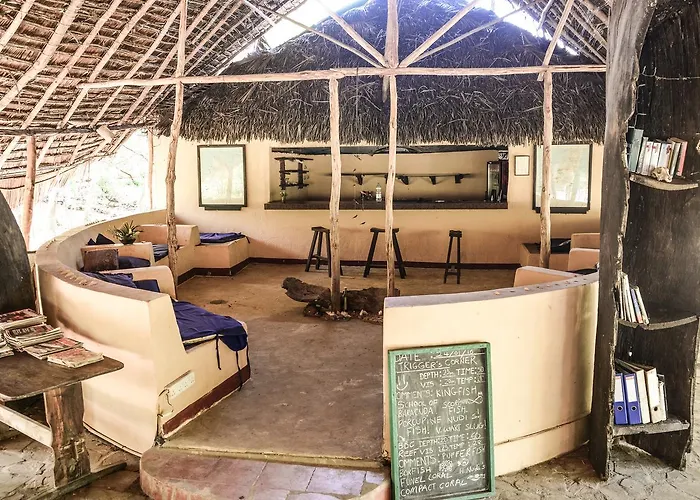 Gecko Nature Lodge Home Of Swahili Divers The Best Dive Center And Famous Gecko Restaurant