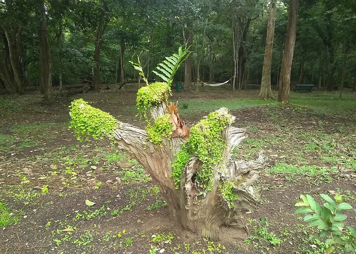 Ktdc Periyar House