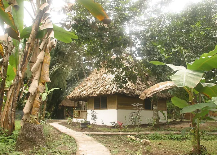 Cohune Palms River Cabanas