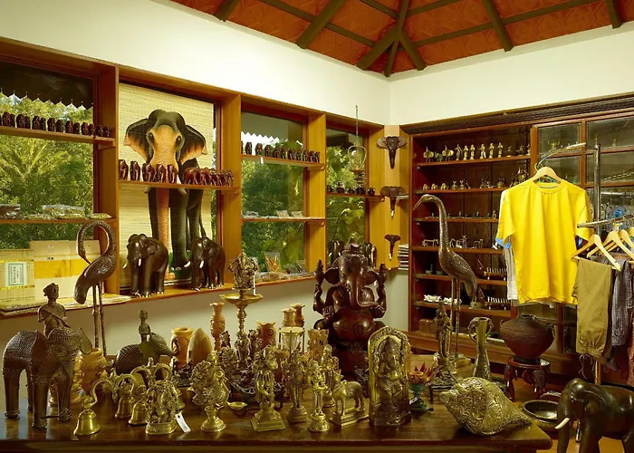 Elephant Court Thekkady