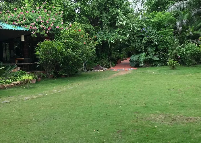 Baaz Jungle Resort