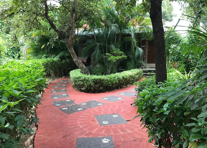 Baaz Jungle Resort