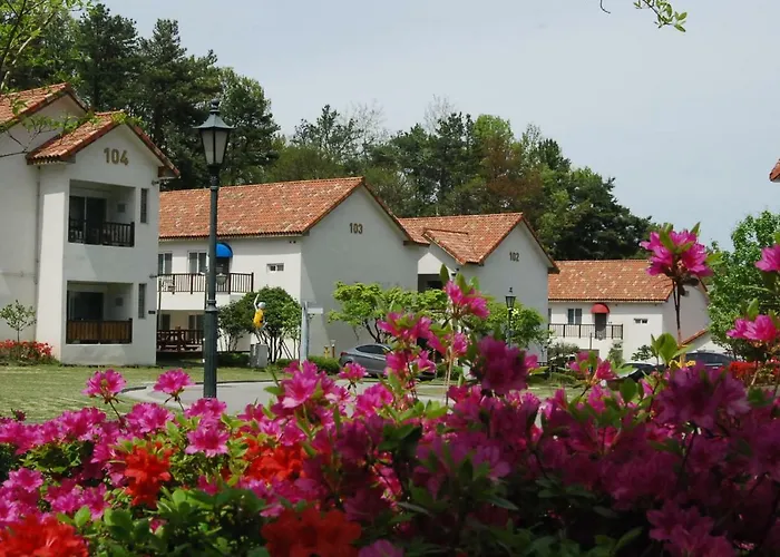 Meta Pension, Damyang