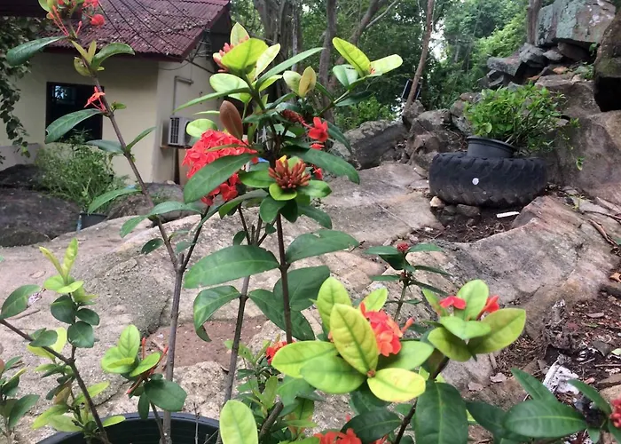 Sunrise Villas Seaview