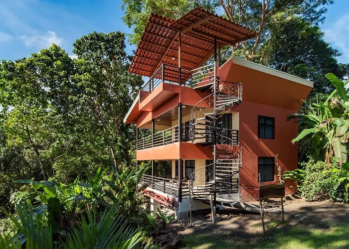 Jungle Lodge At Wild Sun Rescue Center