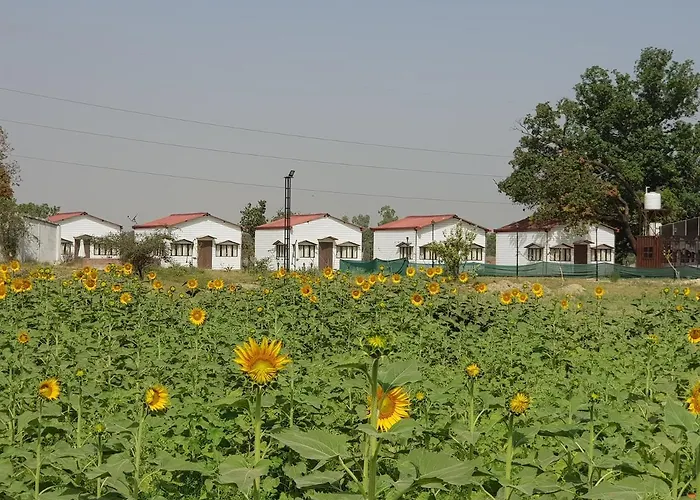 Living Green Farms