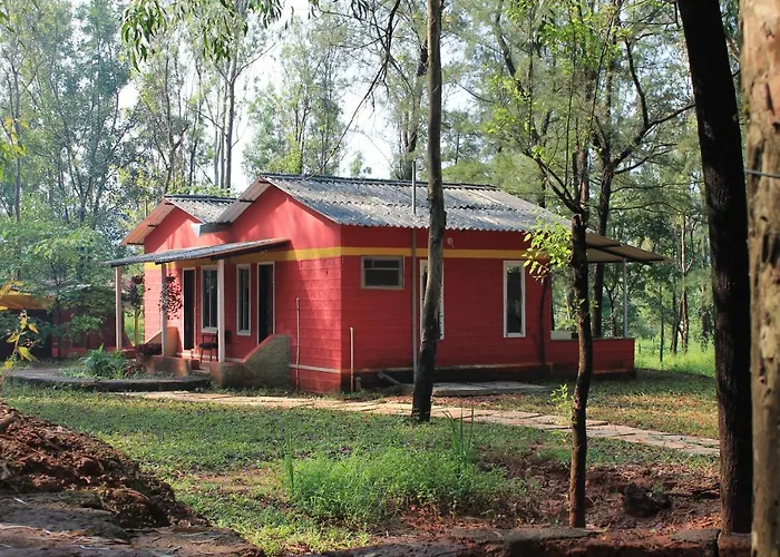 The Jungle Resort Amba