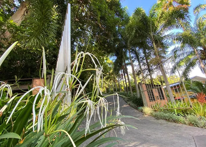 Cairns Rainforest Retreat
