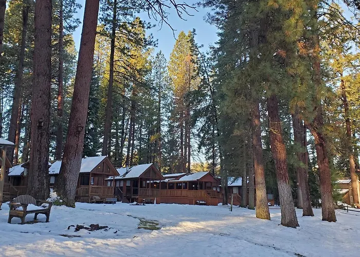 Cold Springs Resort